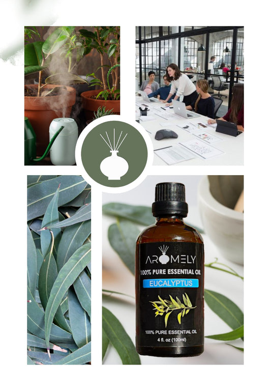 A collage featuring AROMELY Eucalyptus Essential Oil, eucalyptus leaves, potted plants with a diffuser, and people working together in an office.