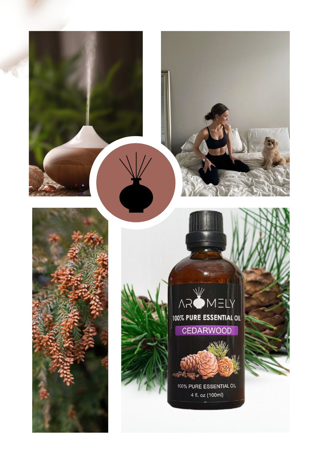 Collage of AROMELY Cedarwood Essential Oil bottle, cedar branches, diffuser, and a woman with her dog on a bed, showcasing the calming scent of Cedarwood Essential Oil—perfect for relaxation.