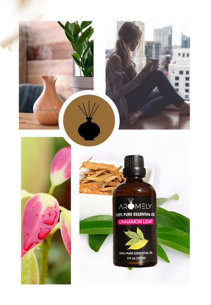 Collage featuring AROMELY Cinnamon Leaf Essential Oil, a diffuser, a woman by a window, cinnamon sticks and leaves, highlighting the soothing qualities of this organic essential oil.