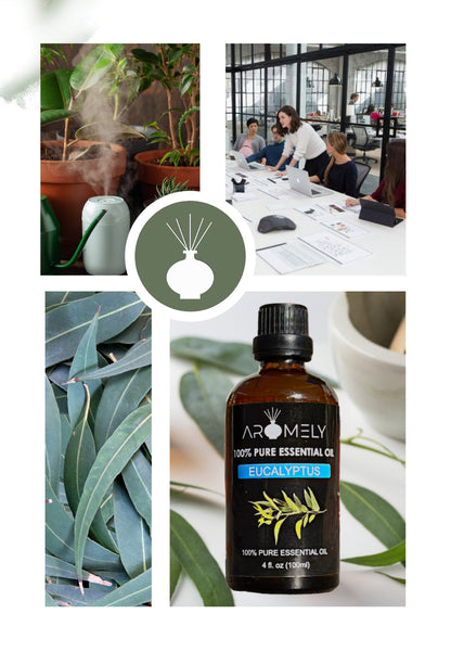A collage featuring AROMELY Eucalyptus Essential Oil, eucalyptus leaves, potted plants with a diffuser, and people working together in an office.