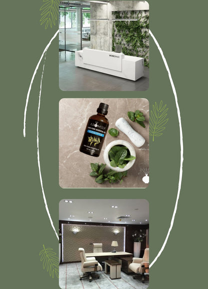 A collage with three images: a modern office lobby, a bottle of AROMELY Eucalyptus Essential Oil with mint leaves, and a contemporary conference room, all set on a green background featuring white curved lines and leaf graphics.