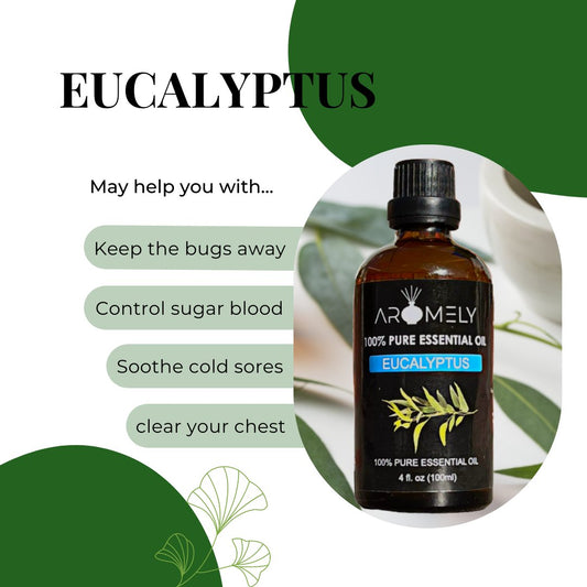 A bottle of AROMELY Eucalyptus Essential Oil lists its benefits as a natural inhalant for chest clearing, soothing colds, bug repellent, and blood sugar control.
