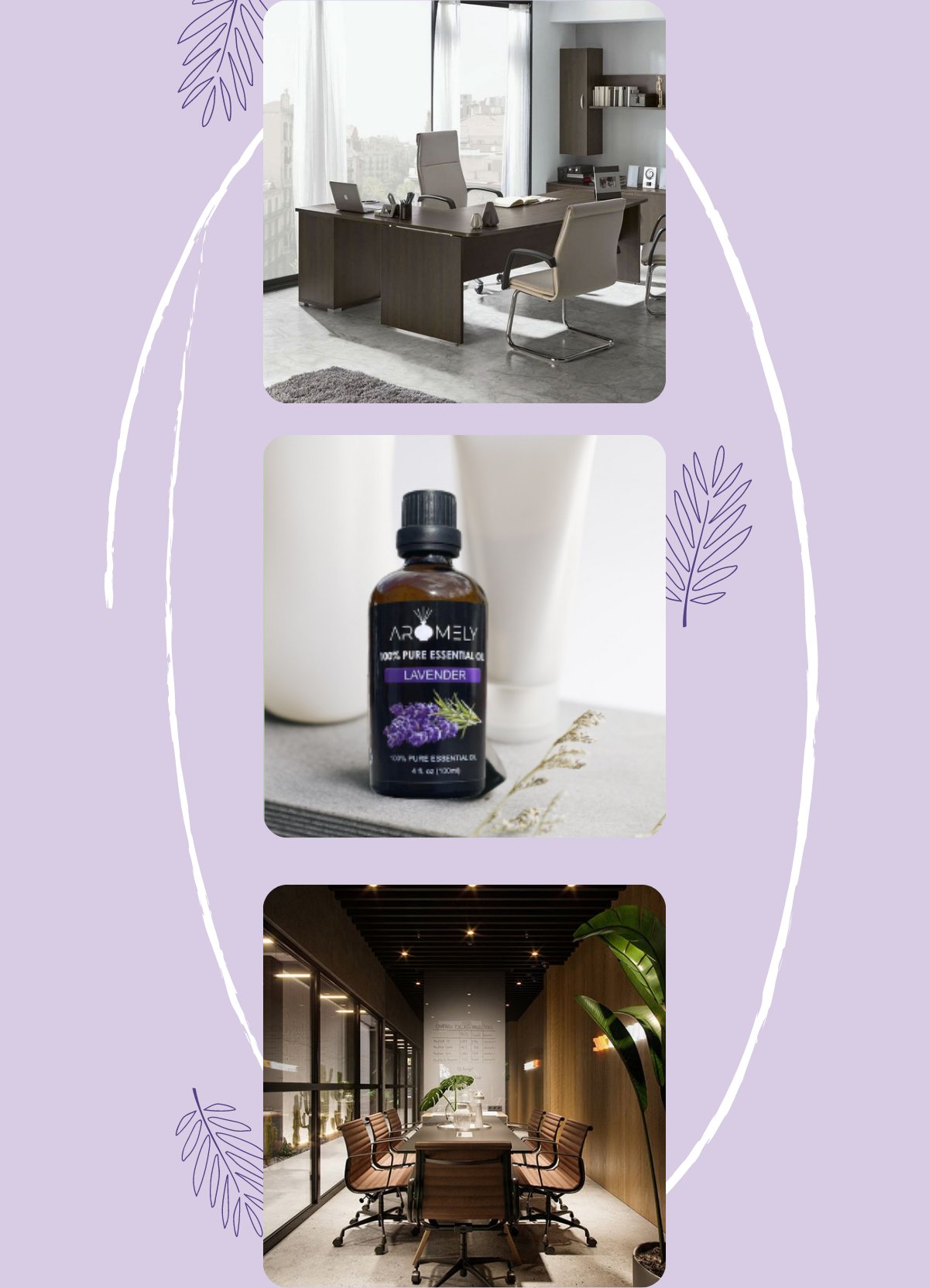Three images: a modern office, a bottle of Lavender Essential Oil by AROMELY, and a conference room with plants—each space beautifully enhanced by the calming scent of an AROMELY Lavender Essential Oil diffuser.