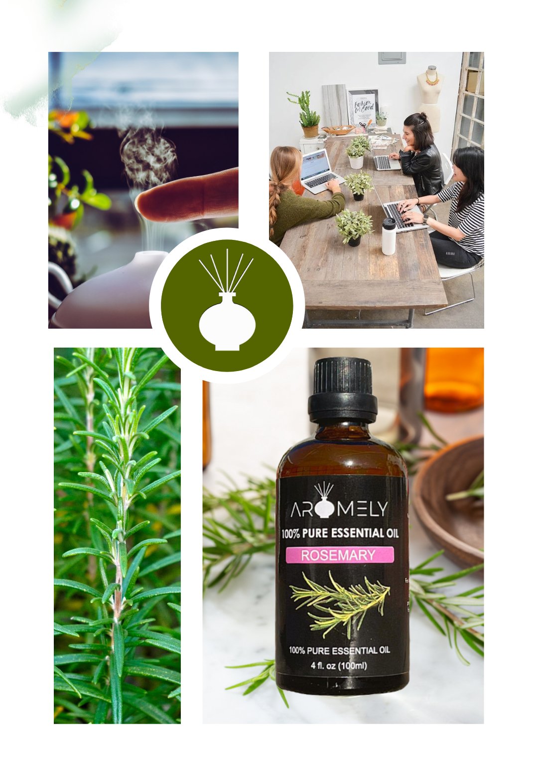 Collage featuring an AROMELY Rosemary Essential Oil bottle, a rosemary plant, a diffuser emitting steam, and a group collaborating at a table with plants.