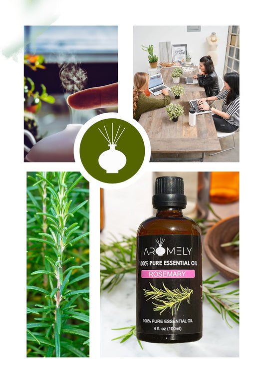 Collage featuring an AROMELY Rosemary Essential Oil bottle, a rosemary plant, a diffuser emitting steam, and a group collaborating at a table with plants.