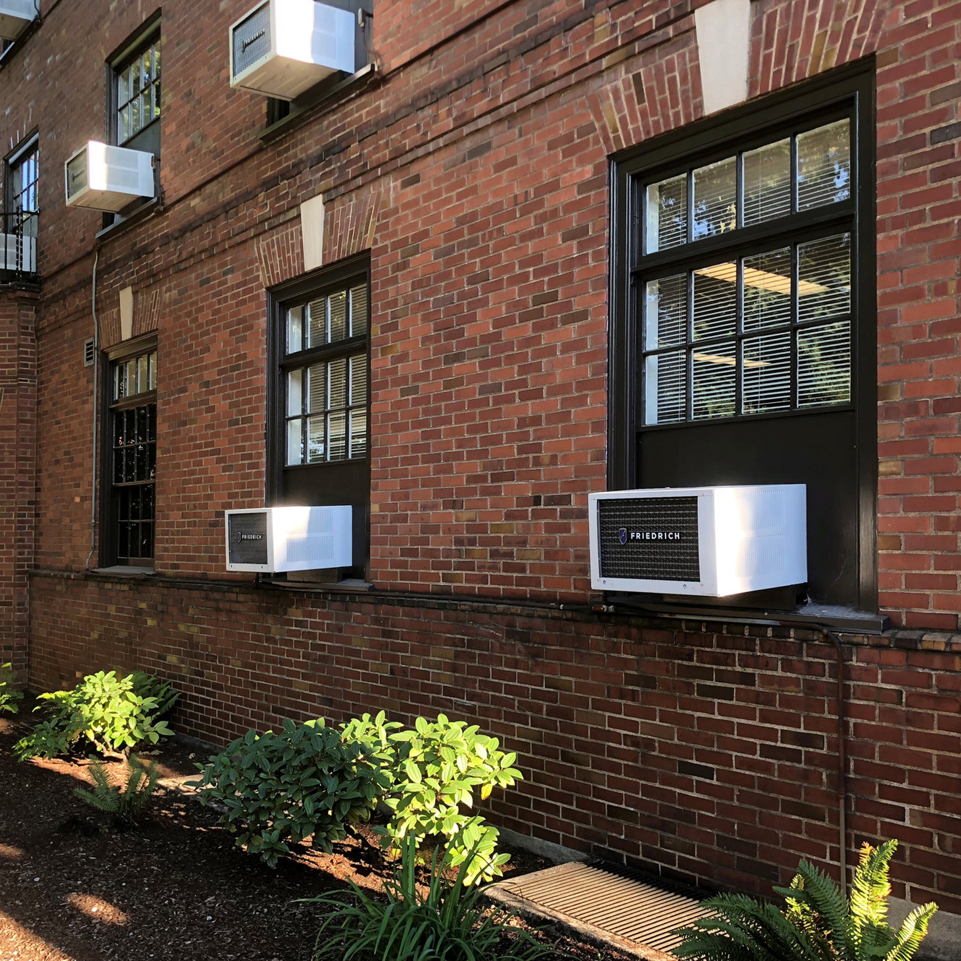 Several Friedrich Kühl® Window Smart Wi-Fi Room Air Conditioners are installed in the windows of a brick building, with green plants growing along its base.